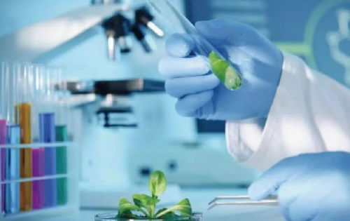 鄉村推薦官 生物技術推廣服務的橋梁與先鋒