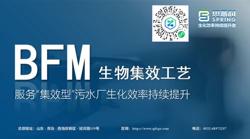 思普潤(rùn)BFM生物集效工藝 賦能集效型污水廠，驅(qū)動(dòng)生化效率的持續(xù)躍升